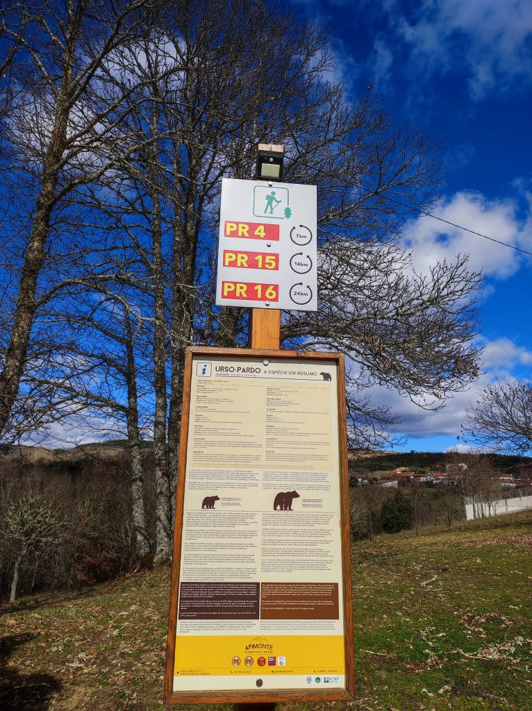 Cenário da Serra no Verão 3