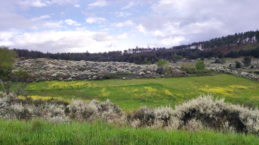 Refúgio de Paz na Serra de Nogueira