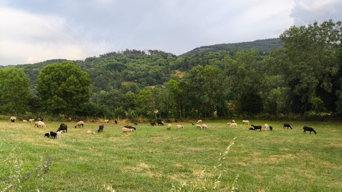 Alojamento Rural em Bragança